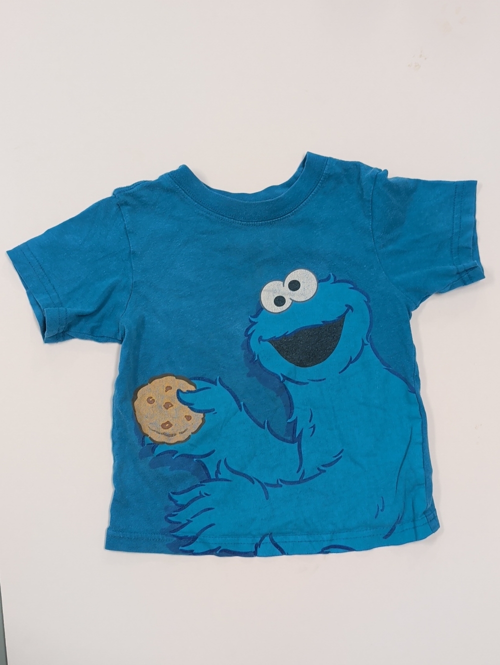 Sesame Street Teal Graphic Crewneck Tee